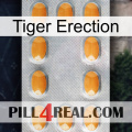 Tiger Erection cialis3